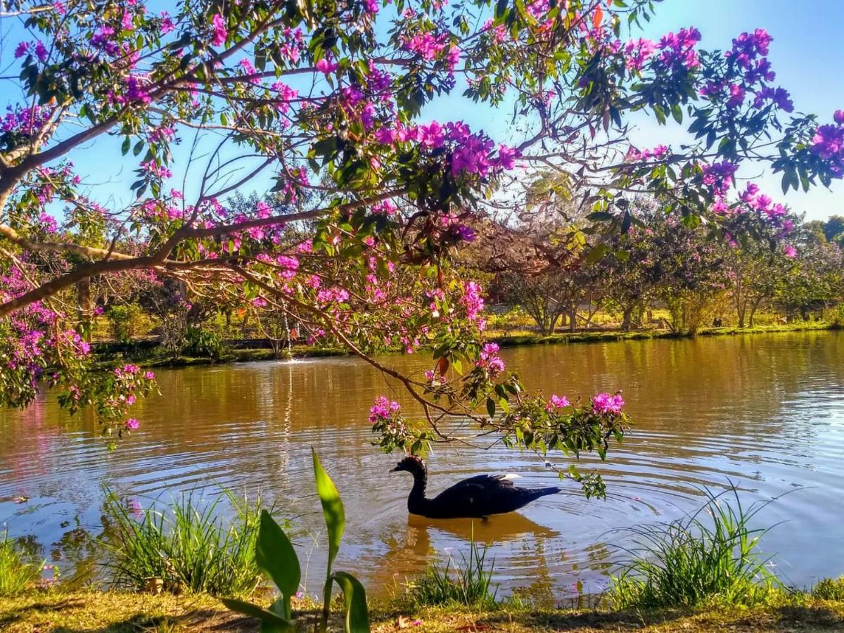 Pousada Chales Do Retiro - Serra Do Cipo Mg Jaboticatubas Buitenkant foto